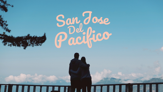 Guide to Doing Magic Mushrooms In San Jose Del Pacifico, Mexico
